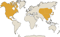 Carte de localisation