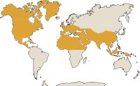 Carte de localisation