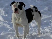 Photo de Alapaha