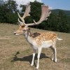 Photo de Toptoweb