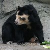 Photo de Mashimaro