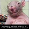 Photo de Louis Le Rat