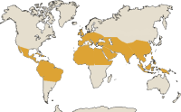 Carte de localisation