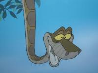 Photo de Kaa