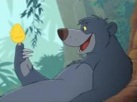 Photo de Baloo