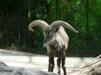 Photo de Bahral