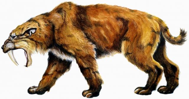 Alumni - Joaquín. 1375974601_smilodon