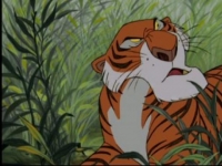 Photo de Shere-khan