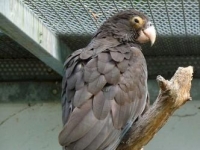 Photo de Vaza