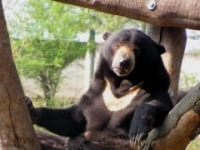 Photo de Basindo